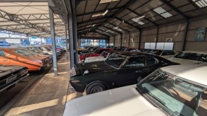 PXL_20260118_055522370 (002)