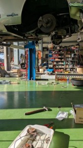 PXL_20260118_055633698 (002)