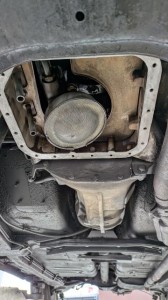 PXL_20260119_045635614 (002)