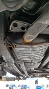 PXL_20260119_050053222 (002)