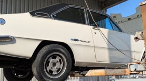 PXL_20260119_050404001.PORTRAIT (002)