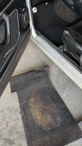 PXL_20260126_074617208 (002)