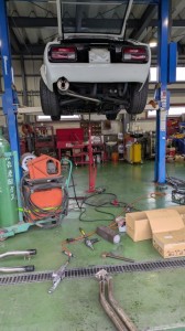 PXL_20260208_021937931 (002)