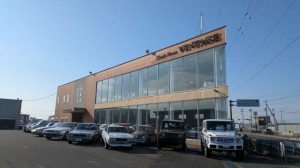 PXL_20260215_001403172 (002)