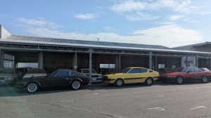 PXL_20260215_001420474 (002)