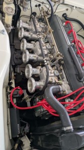 PXL_20260215_041919375 (002)