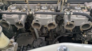 PXL_20260215_044550520 (002)