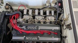 PXL_20260215_060023538 (002)