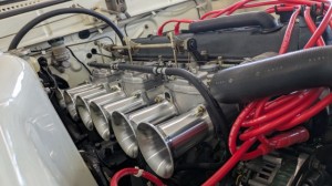 PXL_20260215_060043231 (002)