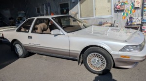 PXL_20260221_003037731 (002)