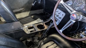 PXL_20260221_003404472 (002)