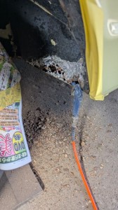 PXL_20260221_040920919 (002)