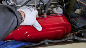 PXL_20260312_040332621 (002)