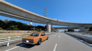 PXL_20260314_041550297 (002)