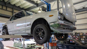 PXL_20260321_040806037 (002)