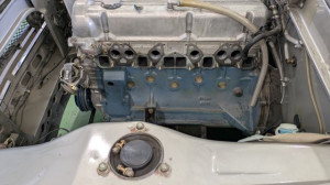 PXL_20260321_065025360 (002)