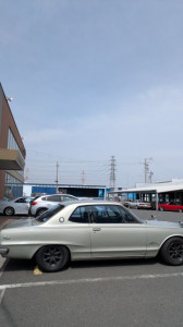 PXL_20260322_022047321 (002)