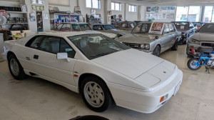 PXL_20260327_001826628 (002)