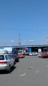 PXL_20260327_023459357 (002)