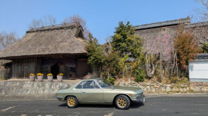 PXL_20260329_012538750 (002)