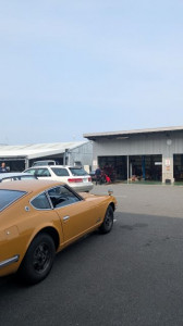 PXL_20260329_050059219 (002)