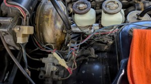 PXL_20260402_091422229 (002)