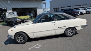 PXL_20260403_045828446 (002)