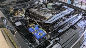 PXL_20260403_050409741 (002)