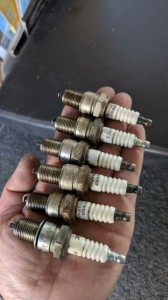 PXL_20260403_052831599 (002)