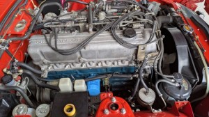 PXL_20260409_023330934 (002)