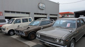 PXL_20260409_024609934 (002)