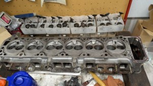 PXL_20260411_012942282 (002)