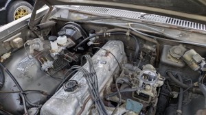 PXL_20260412_075828592 (002)