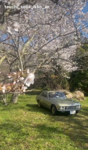 Screenshot_20260403-100153~2 (002)